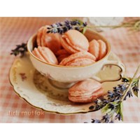Muhtesem Macaron