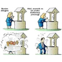 Akıl, Mantık Ve İyi Araba Kullanabilme Yeteneği