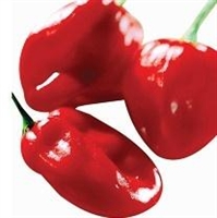 C Vitamini İçin Kırmızı Biber