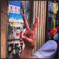 Gezi Parkındaki Güvercinlere Benzemeyinde