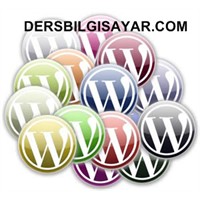 Wordpress Yazar Ve Kategori Fonksiyonları