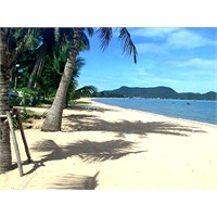 Pattaya...