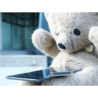 Dijital “Teddy Bear”
