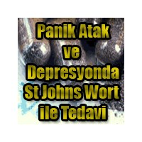 Sarı Kantaron`un Depresyon Ve Panik De Kullanımı
