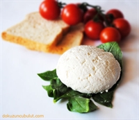 Ev Yapımı Taze Lor (ricotta) Peyniri