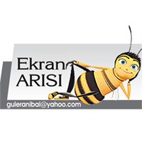 Ekranın Ağlakları...