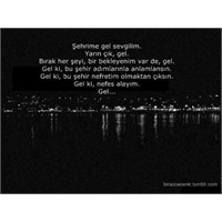 Bu Şehir