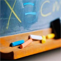 Çevrenizle Ne Kadar Uyum İçindesiniz? (Test)