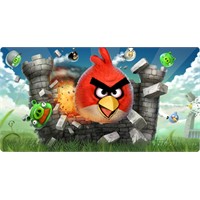 Angry Birds Film Mi Oluyor ?