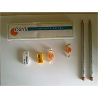 2012 Kpss Ortaöğretim Sınavı Bugün Yapıldı