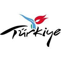 Nereden Çıktı Bu Hindi?