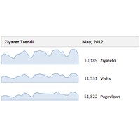 Google Analytics Aylık Ziyaret Grafiği