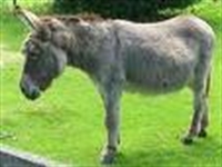 Susuz Bir Dünyada Umuda Yolculuk