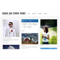 Wordpress İçin Bedava Galeri Ve Portfolio Temaları