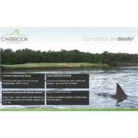 Köpekbalıklarıyla Golf Keyfi