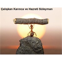 Karinca İle Hz. Süleyman (A.S) Güzel Hikayesi