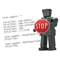 Arama Motorlarına Kayıt (Robots.Txt) İşlemi?