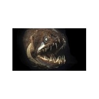 Vampirlerin Dini