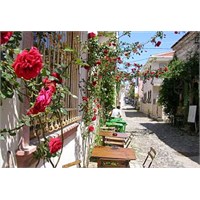 Cunda Adasında Birgün