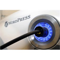 Wordpress Facebook Gönder Butonu Eklentisi