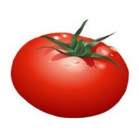 Domates Ve Domatesin Faydaları Neler?