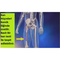 Kansızlık Depresyon Nedeni Mi?
