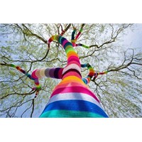 Sokak Sanatına Farklı Bir Bakış; Yarn Bombing!