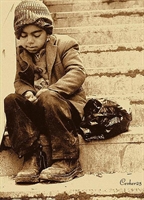 Bunları Da Tanıyalım.