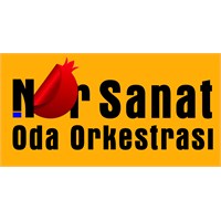“Nar Sanat Oda Orkestrası” Kurulması İçin Gönüllül