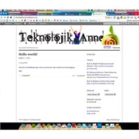 Yeni Başlayanlar İçin Wordpress