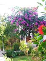 Datça