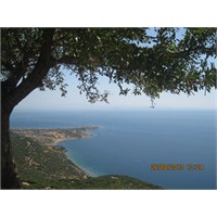Masalsı Bir Diyar, Assos
