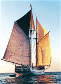 Rotamız Festival