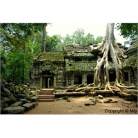Rüya Şehir: Angkor