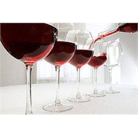 Chateau Phelan Segur- Dikey Şarap Tadımı 2009-2004