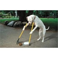Köpeğinizin Pisliğini De Götürün