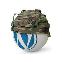 Web Sitenizin Güvenliğini Sağlamak İçin Birkaç İpu