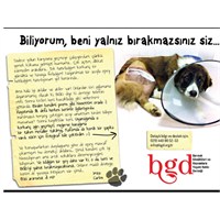 Onlar Bize Güveniyor