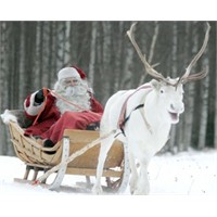 Noel Baba Yola Çıktı, Yeni Yıl Sendromu Başladı
