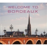 Bordeaux Ve Şarap