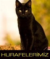 Hurafelerimiz