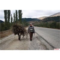 Bir Eşeği Uğurlarken