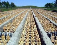 Qin Shihuang Mezarlığ