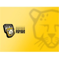 Artık Çocuklar Bilgisayarı Pardus Olarak Öğrenecek