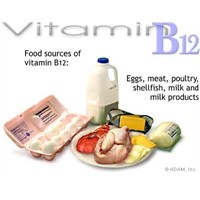 B12 Vitamini