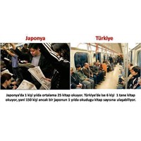 Taşiyomi