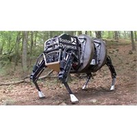 Google Boston Dynamics Robot Şirketini Satın Aldı