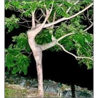 Nasıl Sıra Dışı Olurum?