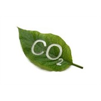 Co2'den Yakıt