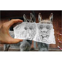 İnanılmaz Yaratıcı Resimler Fotoğraflarla